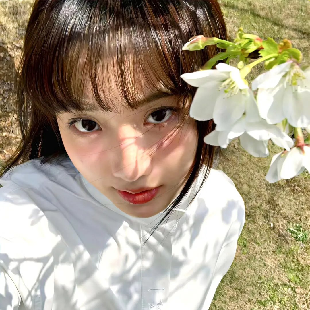 断线森林2